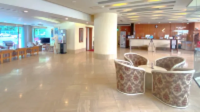 Hotel de Marronnier Utsumi Onsen