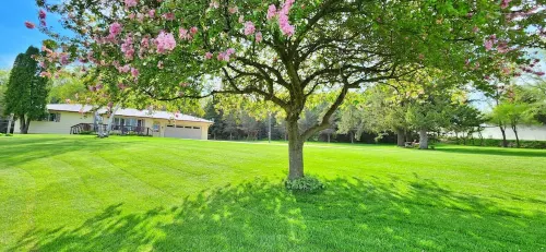 COUNTRY VIEW GETAWAY: ATV/UTV and Country Living Combined, Sleeps 8, near Town.