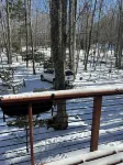 Beech Mtn. Cozy Private Cabin. Cool Weather! Get Outdoors. Book 3 Nts Get 1 Free