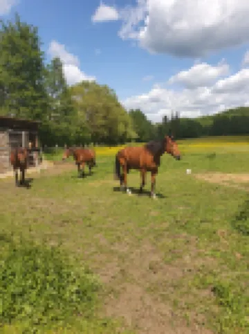Character cottage near Verdun