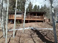 Bear Foot Getaway: Secluded Cabin in Aspens, deck, Hot Tub, 6Mi to Cripple Creek