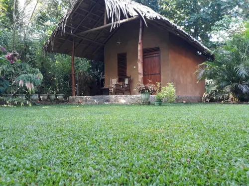 Private Organic House - Bed and Breakfasts