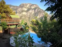 Mandala Camping - View biển