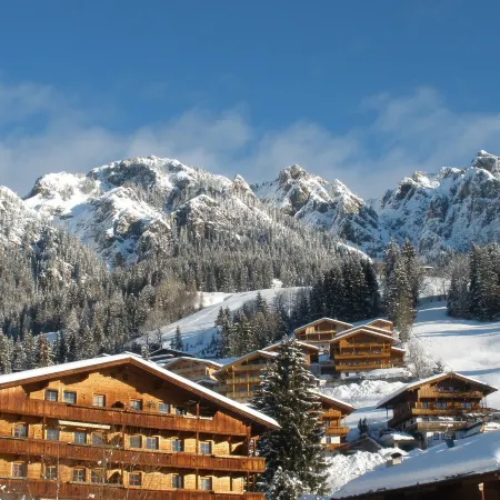 Alpbach Lodge Chalet Superior