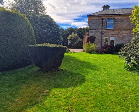 The Pines Guest House