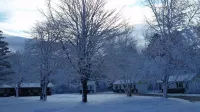 Sunshine Motel and Cabins