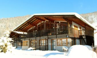 Modern Apartment in Kirchdorf with Garden