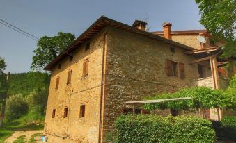 Farmhouse with Stables Horses and the Ability to Make Horseback Riding