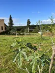 Agriturismo la Palma Sambuca Val di Pesa