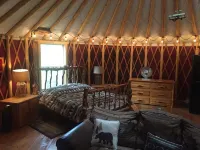 Blue yurt, out in the woods! Unplugged, you are out in nature away from it all.