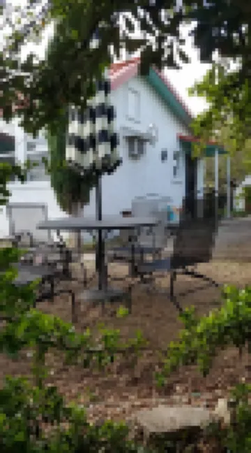 College District Art House - Patio - Walk to Downtown - Sleeps 5