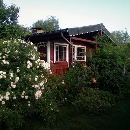 Very cozy Scandinavian log house in a quiet location on a large plot