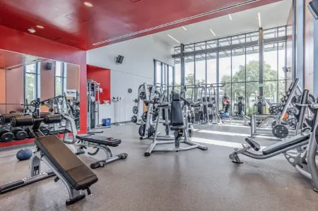 Bright and Cozy Haven with Courtyard Access - Charming Escape Отели рядом с достопримечательностью «Хьюстонский университет»