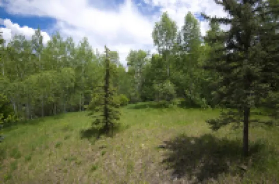 Airy Condo with Hot Tub and Scenic Views - Charming Rustic Retreat