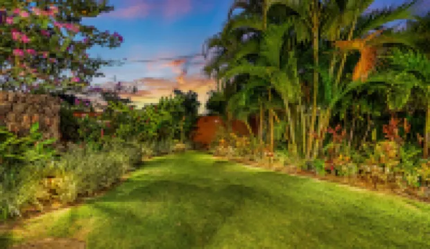 Private Saltwater Spa and Outdoor Oasis - Luxurious Tropical Haven