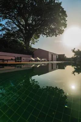 Solar Dos Cantos Botanic House & Garden - Homestays