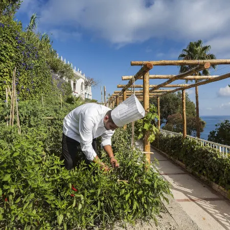 Hotel Continental Mare