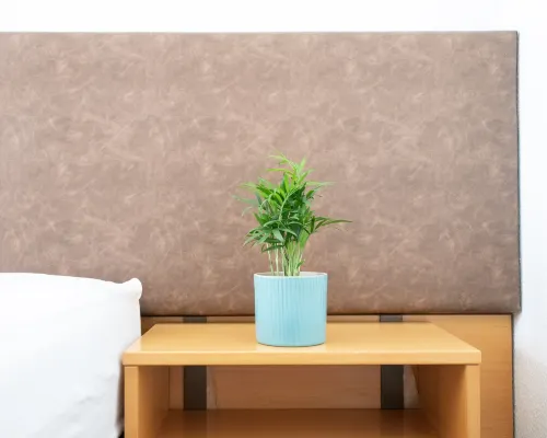 Hotel Sonne الغرف Photos
