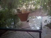 Lovely 3-Bdrm Cottage w Private Patios Pkg Sanyang