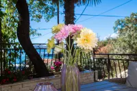 놀라운 바다 전망이 있는 아파트 트로기르 호텔