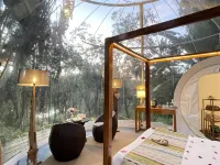 Bubble Lodge Bois Chéri Plantation - 民泊