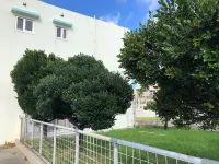 Ruby House - 3 Yıldız