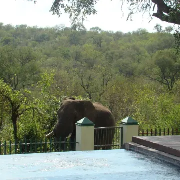 Muweti Bush Lodge