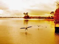 Ski Club Holiday Park Hotels in Mulwala