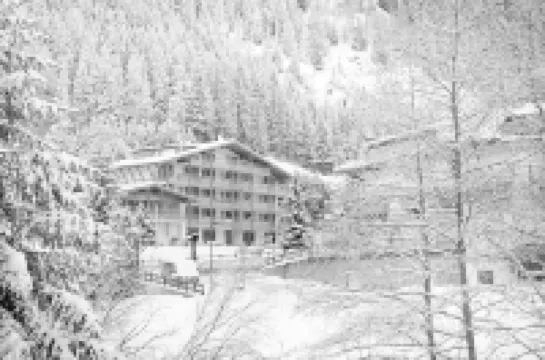 ArtHotel Anterleghes - Gardenahotels