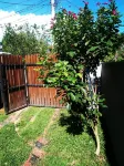 Vihara Safari Homestay - Pensions