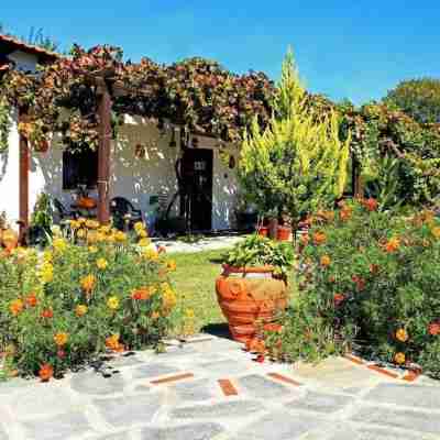 Dionysus Apartments & Suites Hotel Exterior