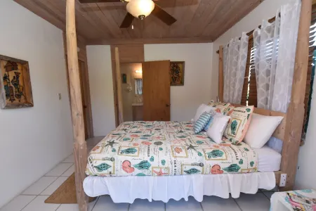 The Sugar Apple Lodging Отели в г. Данмор-Таун