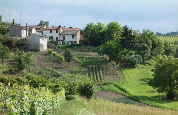 阿爾伯塔農莊酒店