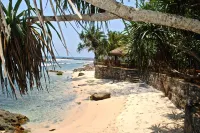 Satin Doll - de playa