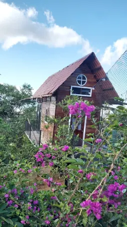 Hotel Monte Campana Heredia Отели рядом с достопримечательностью «Calle Puente de piedra»