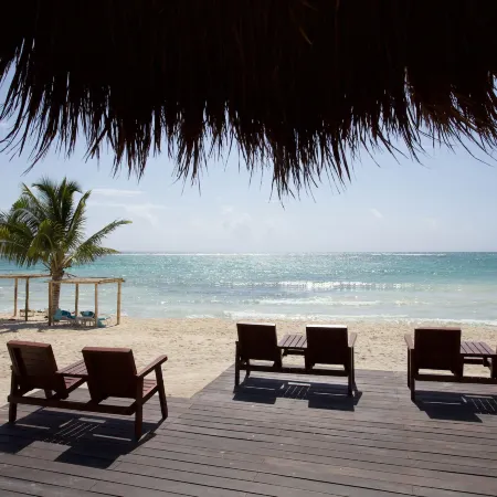 Akumal Bay Beach & Wellness Resort