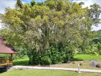 Pension les 3 Cascades Hotels in Raiatea
