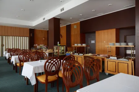 Hotel Medlov Depandance Отели в г. Свратка