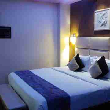 Dolphin Chocolate Inn Rooms