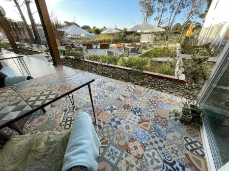 La Viuda de José Ignacio