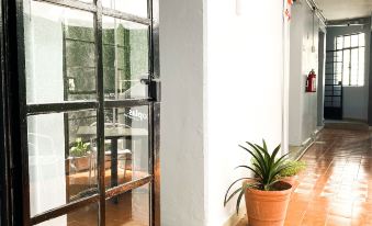 Hotel Amigo Suites
