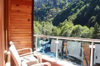 Ayder Hasimoglu Hotel - Bjergudsigt