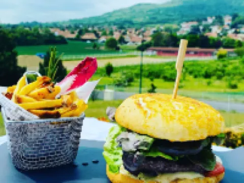 Best Western Plus Hotel Gergovie Hotels in Auvergne