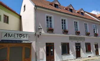 Wellness Pension Ametyst