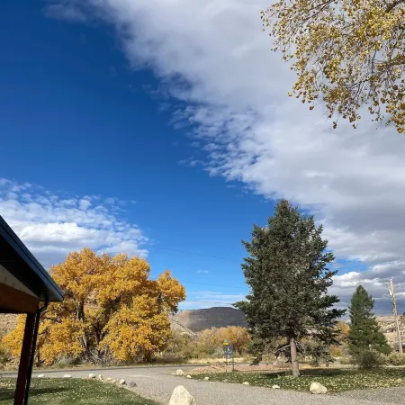 The Homestead