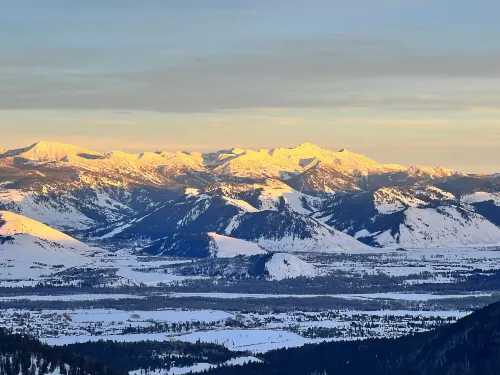 The Jackson SouthTown