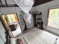 Boca Tapada Rainforest