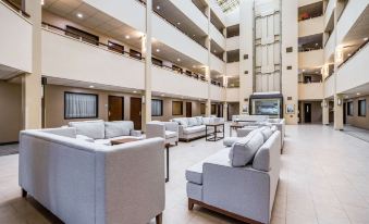 Quality Suites