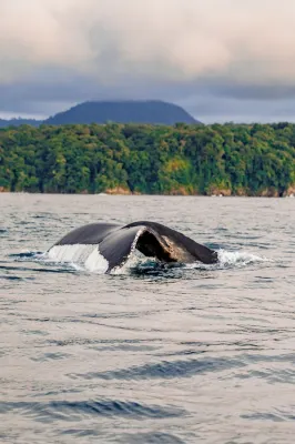 La Martina ecolodge Hotels in Nuqui