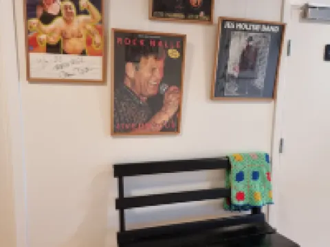 Skovsgård Hotel Hotels in Jammerbugt Municipality